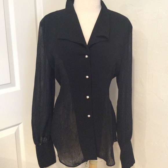Modacor Sheer Blouse - Picture 1 of 4